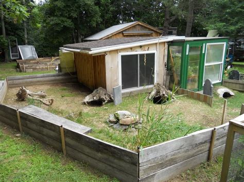New Tort Shed And Pen For Sulcata Tortoise House Sulcata Tortoise