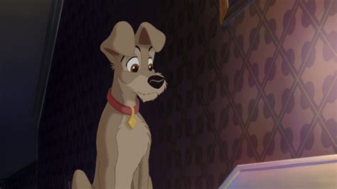 Lady And The Tramp 2 Tramp 1920x1080 Wallpaper