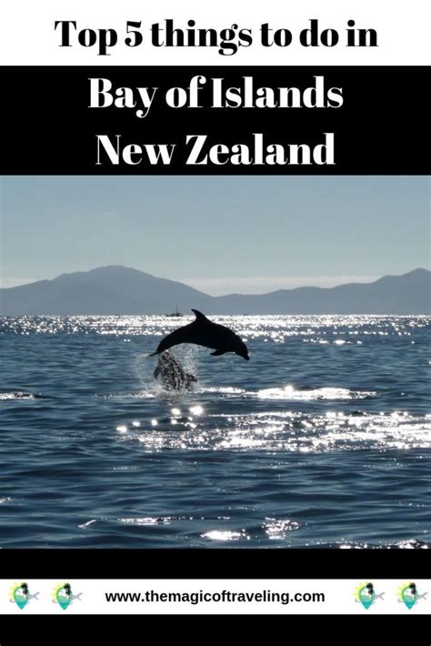 Top 5 Things To Do In Bay Of Islands New Zealand The Magic Of