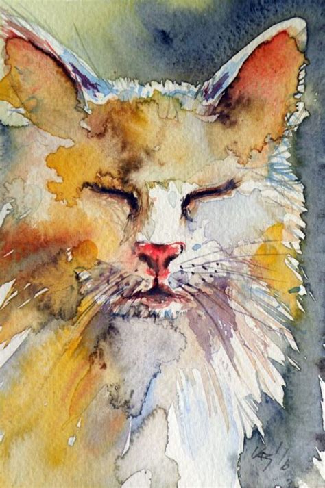 Buy Sleeping Cat Watercolour By Kovács Anna Brigitta On Artfinder