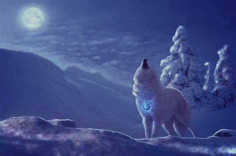 Zoom hintergrundbilder kostenlos zum download. Bilder Coole Wolf Hintergrundbilder : Wolf Live Wallpaper ...