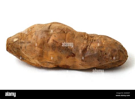 Oven Baked Ubi Cilembu Cilembu Sweet Potato Isolated On White