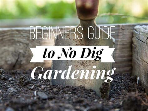 No Dig Vegetable Gardening For Beginners Gardening Channel
