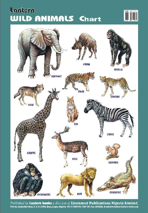 Wall Chart Wild Animals Lantern Books