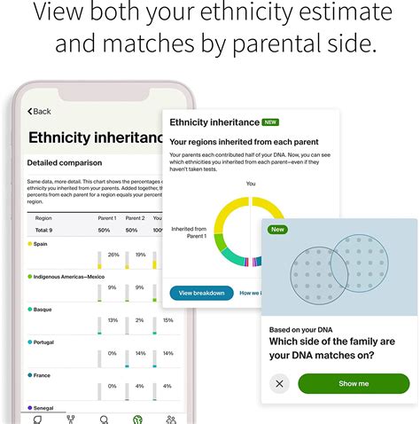 Buy Ancestrydna Traits Genetic Ethnicity Traits Test Ancestrydna Testing Kit With 35