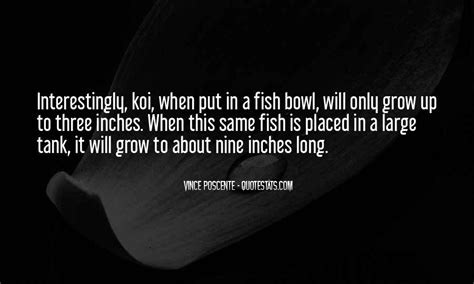 Top 14 Quotes About Koi Fish Famous Quotes And Sayings About Koi Fish