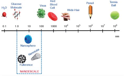 Figure 4 From Nanobiomaterials Applications In Neurodegenerative