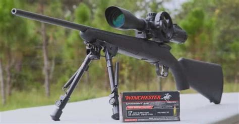4 Best17 Hmr Rifle For Small And Accuracy Targets 2023