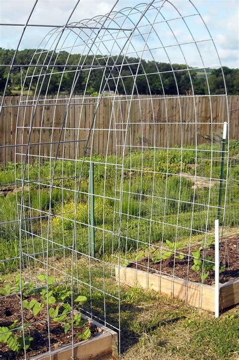 Maybe you would like to learn more about one of these? The Best Trellis Designs #Organic_Gardening