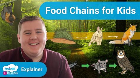 Learning About Food Chains In Ks Youtube
