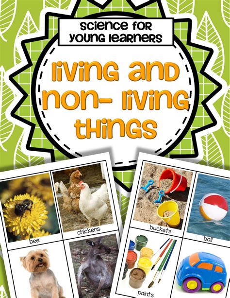 Living And Nonliving Things Activity Pack For Preschool And