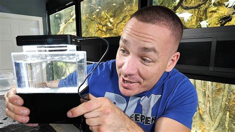 Over the past four years, shannon has created cover 125 diy videos that. THE SMALLEST AQUARIUM IN THE WORLD!! (REAL) | The King of ...