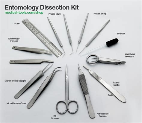 Entomology Dissection Kit Veterinary Instruments Medical Tools Shop
