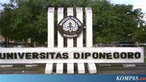 9 Universitas Terbaik Di Indonesia Versi The World University Rankings