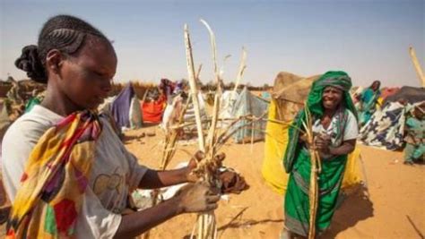 Over Idps Arrive In South Darfur Camps Sudan Tribune