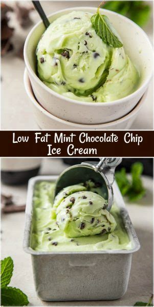 Homemade ice cream that's healthy for the family. Low Fat Mint Chocolate Chip Ice Cream