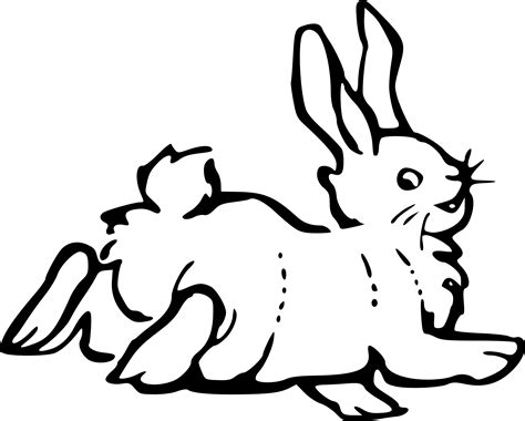 Clipart Rabbit Outline Clipart Rabbit Outline Transparent Free For