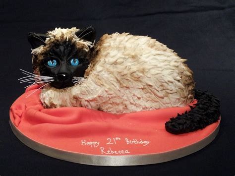 Cat Cake Birthday Cake For Cat Dog Cakes