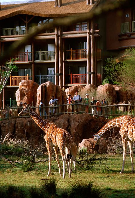 This Day In Disney History Disneys Animal Kingdom Lodge Turns 10