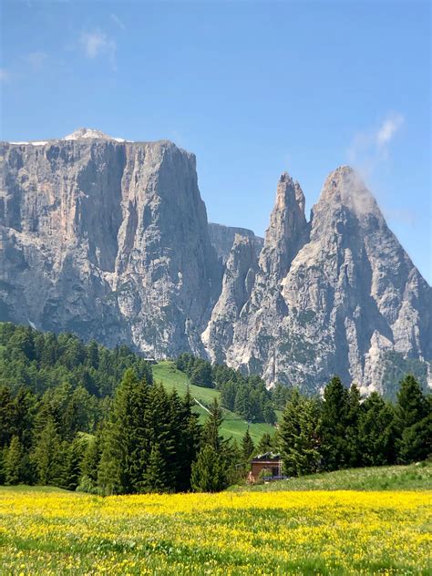 Alpe Di Siusi Seiser Alm Artofit