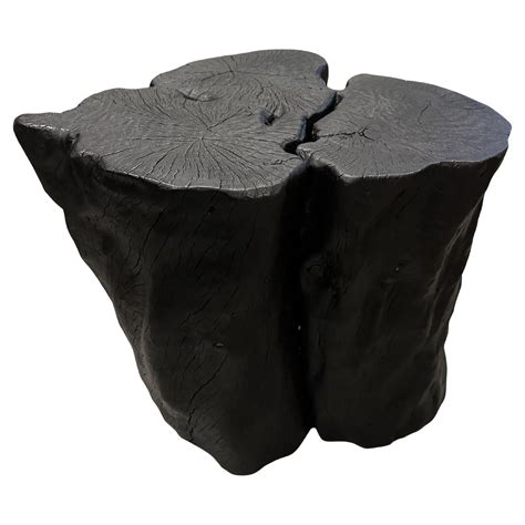 Andrianna Shamaris Charred Lychee Wood Drum Side Table Or Stool For
