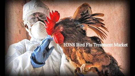 Latest Update On “h3n8 Bird Flu Treatment” Market Current Status And