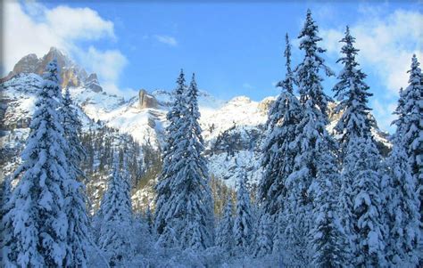 Casa Alpina Dobbiaco Dobbiaco Trentino Alto Adige Dlt Viaggi