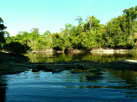 Am Rio Cristalino Ngid62494587 Naturguckerde Flickr