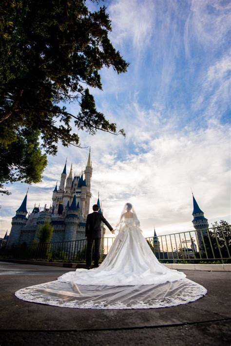 Fairy tale wishes come true at Disney's Magic Kingdom ... Dealer in fine original prints.