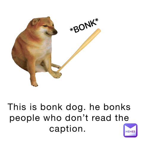 This Is Bonk Dog He Bonks People Who Dont Read The Caption Tyle9