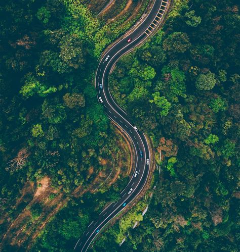 Drone Forest Pictures Download Free Images On Unsplash