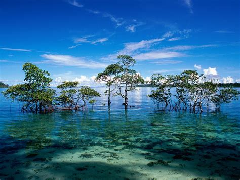 Interesting Facts About Andaman And Nicobar Islands