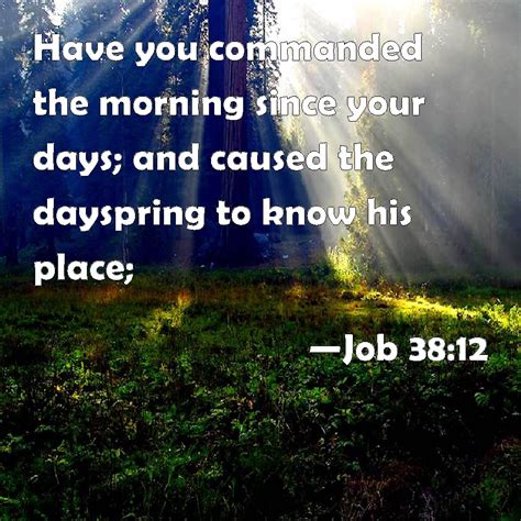 Job 3812 Have You Commanded The Morning Since Your Days And Caused