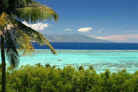 Travel Trip Journey Moorea French Polynesia United States