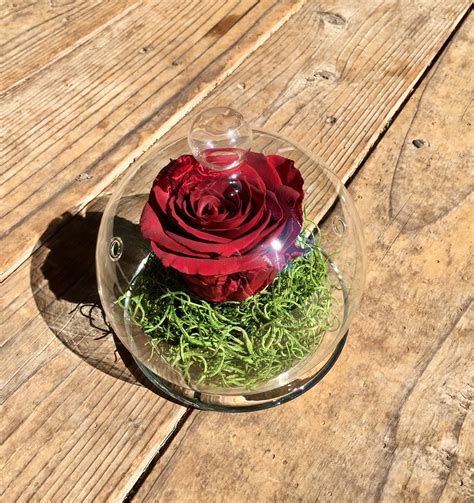 Forever Rose Rose In Glass Dome Valentines Day T For Her