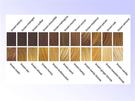 Hair Color Genetics Chart Uk