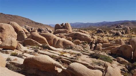 Cap Rock Joshua Tree National Park 2019 All You Need To Know Before