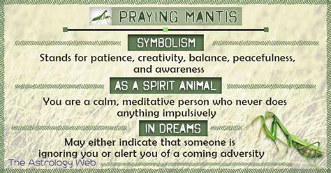 Praying Mantis Meaning And Symbolism The Astrology Web Praying