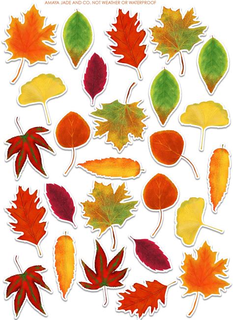 Fall Leaves Sticker Set Labels Stationary Autumn Autumn Leaves