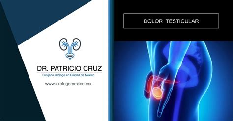 Dolor Testicular Dr Patricio Cruz Cirujano Ur Logo M Xico