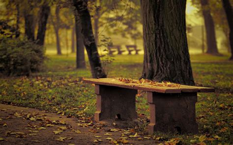 Bench Hd Wallpaper Background Image 1920x1200