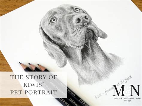 Vizsla Pencil Drawing Melanie And Nicholas Pet Portraits