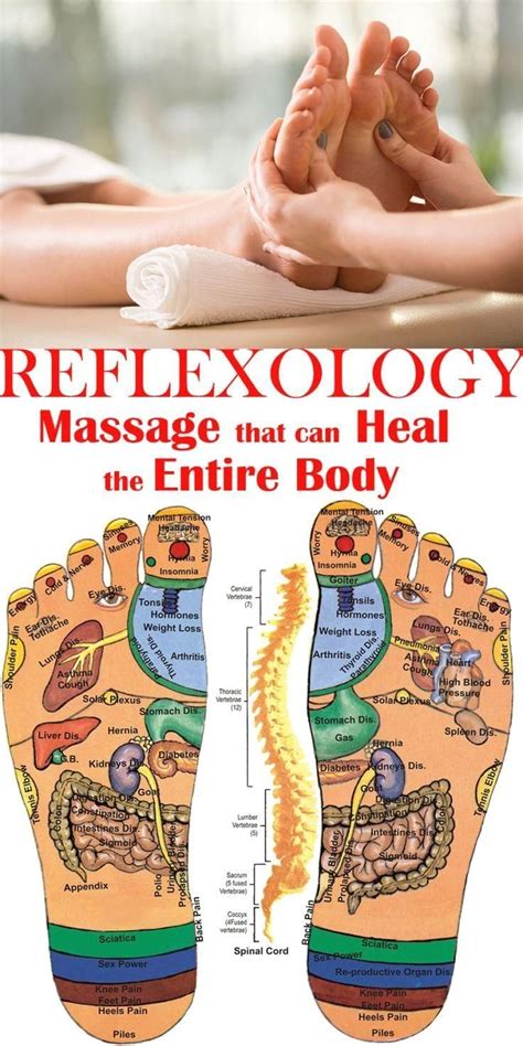 Reflexology Massage That Can Heal The Entire Body Modern Design In Reflexology