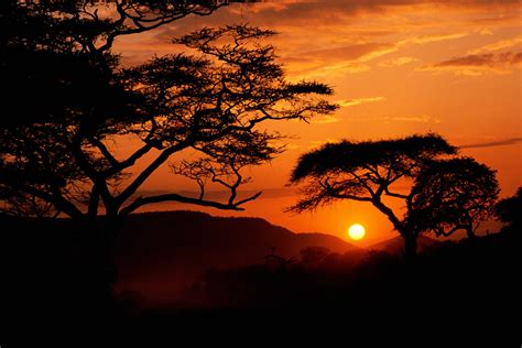 Africa Wallpaper Sunset | Wallpapers Gallery