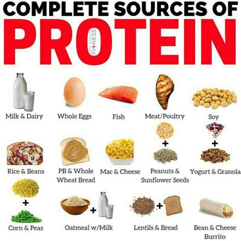 High Protein Foods The Realities About High Protein Food And What You