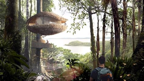 Hotel Di Atas Pohon Kakao Untuk Resor Ekologi Panama Ikonsid