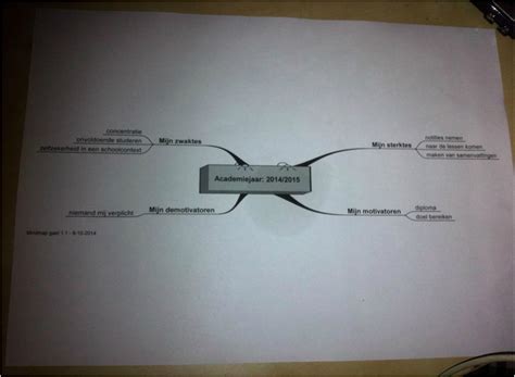 SWOT Mindmap Vacature Portfolio Talent Management