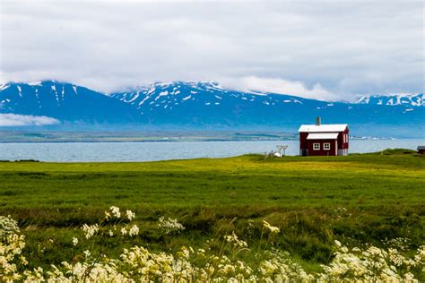 Dalvik Iceland