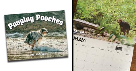 Dogs Pooping Calendar 2024 Calendar 2024