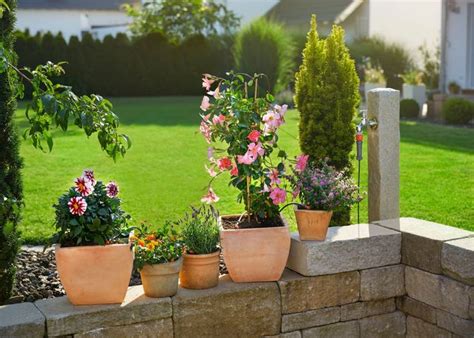 We did not find results for: Arrosage automatique : tout savoir pour faire le bon choix ...